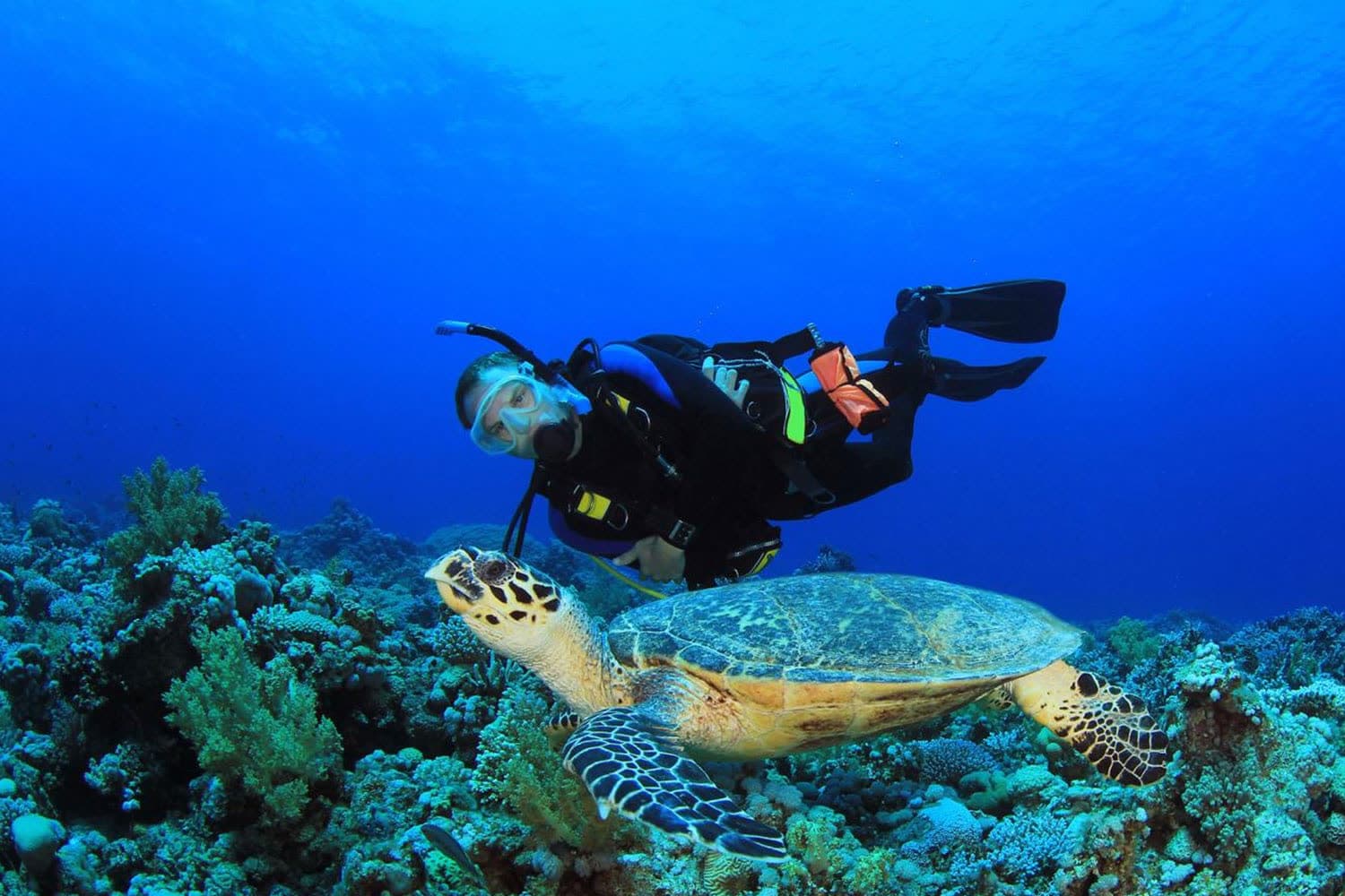 Underwater scenery in North Cyprus